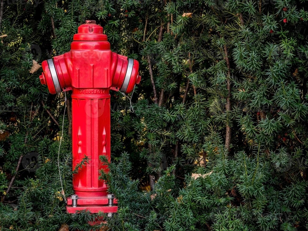 colonna di fuoco rossa in mezzo al prato foto