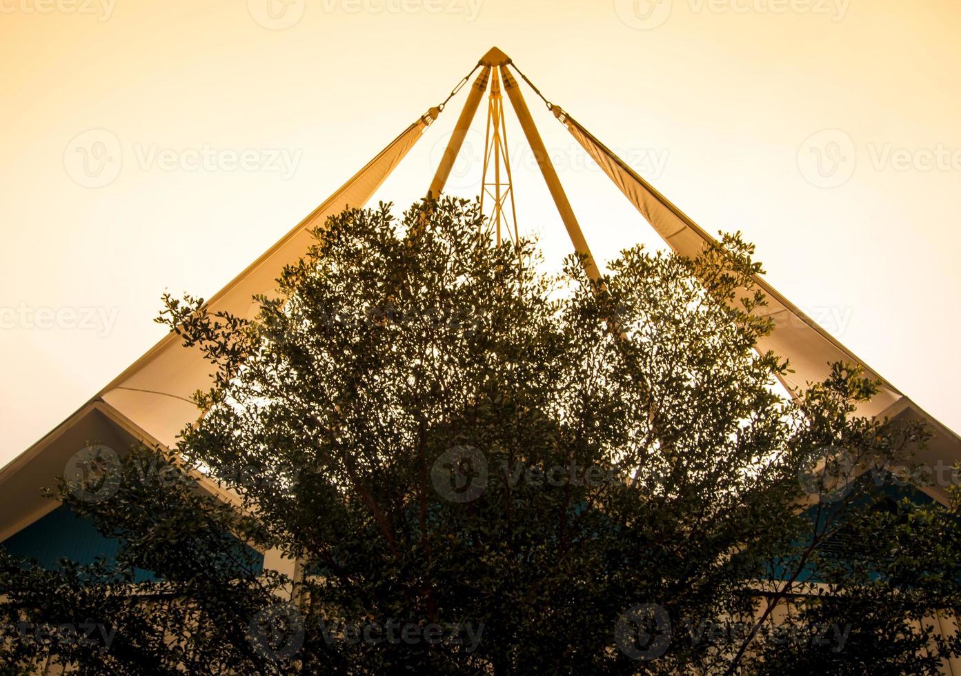 l'edificio moderno dietro gli alberi foto