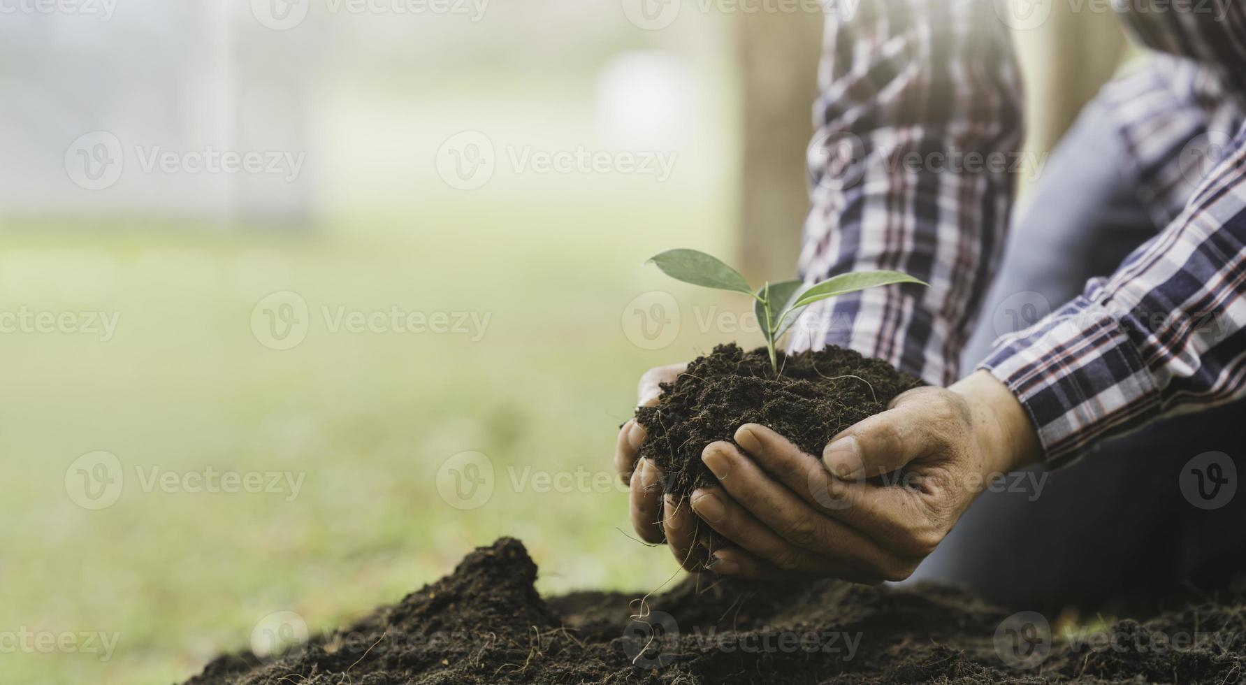 piantare un albero. primo piano sul giovane che pianta l'albero mentre lavora in giardino. foto