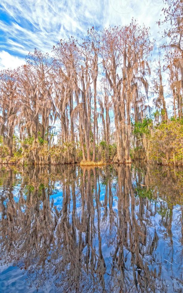 riflessi nelle calme acque di una palude d'acqua dolce foto