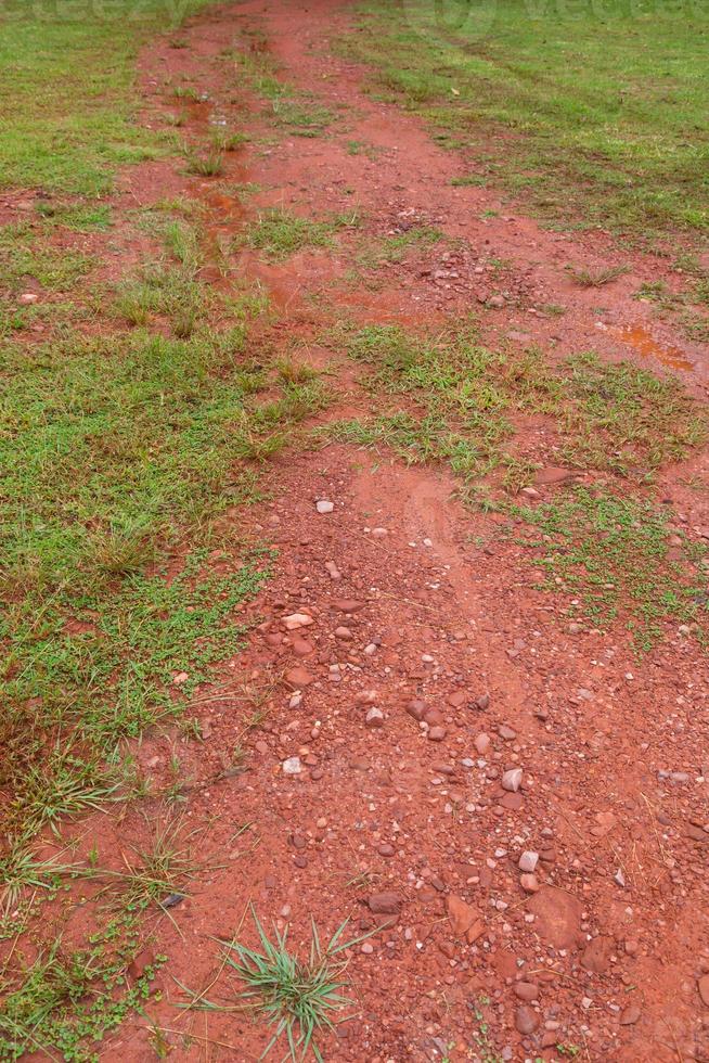 strada di fango dopo la pioggia in Thailandia foto