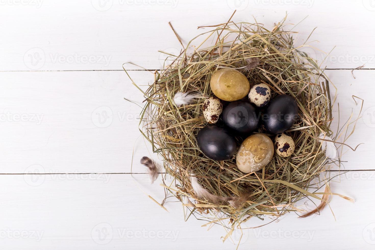 nido con uova di Pasqua colorate su fondo di legno bianco foto