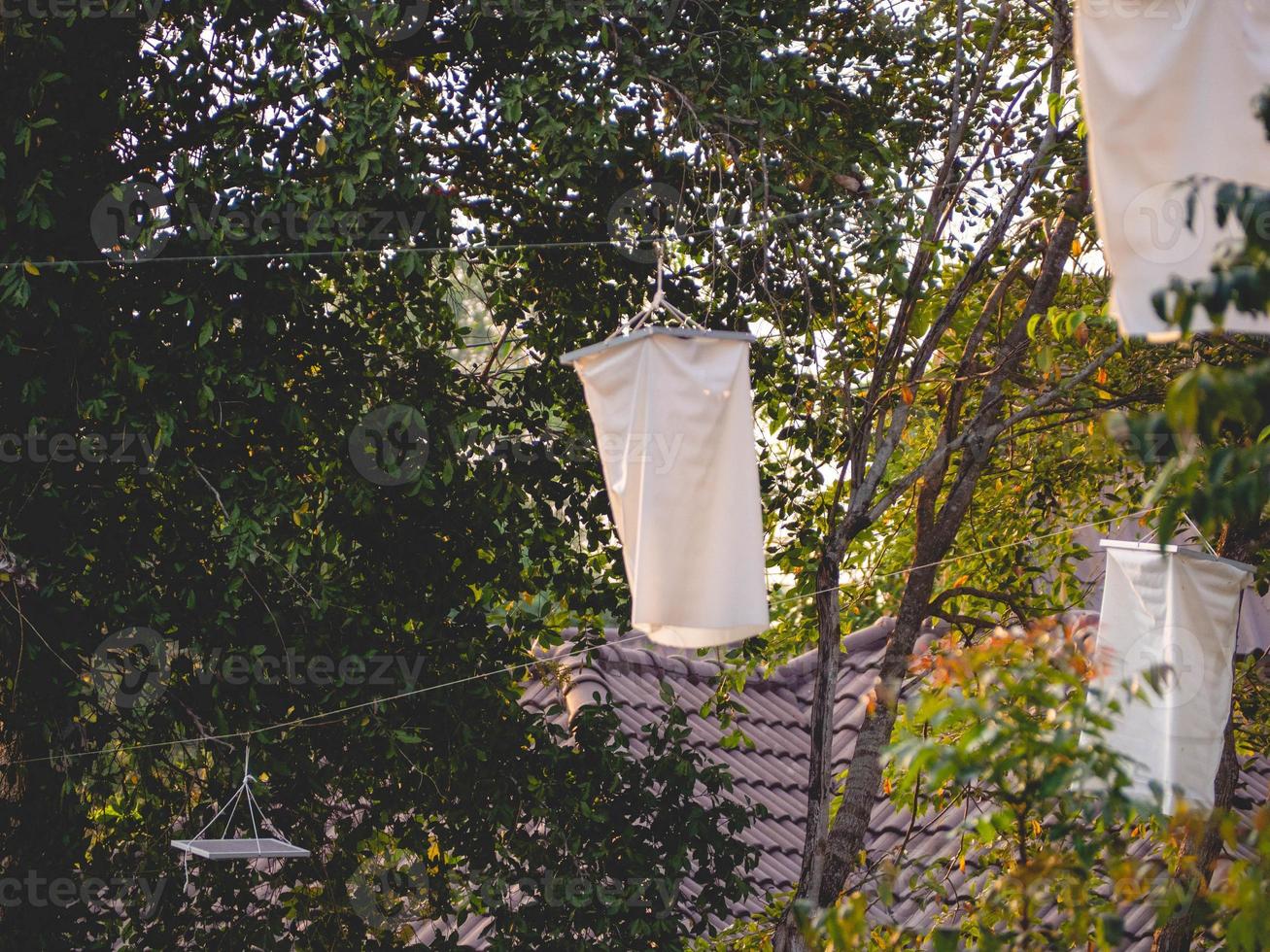 lanterna bianca e natura foto