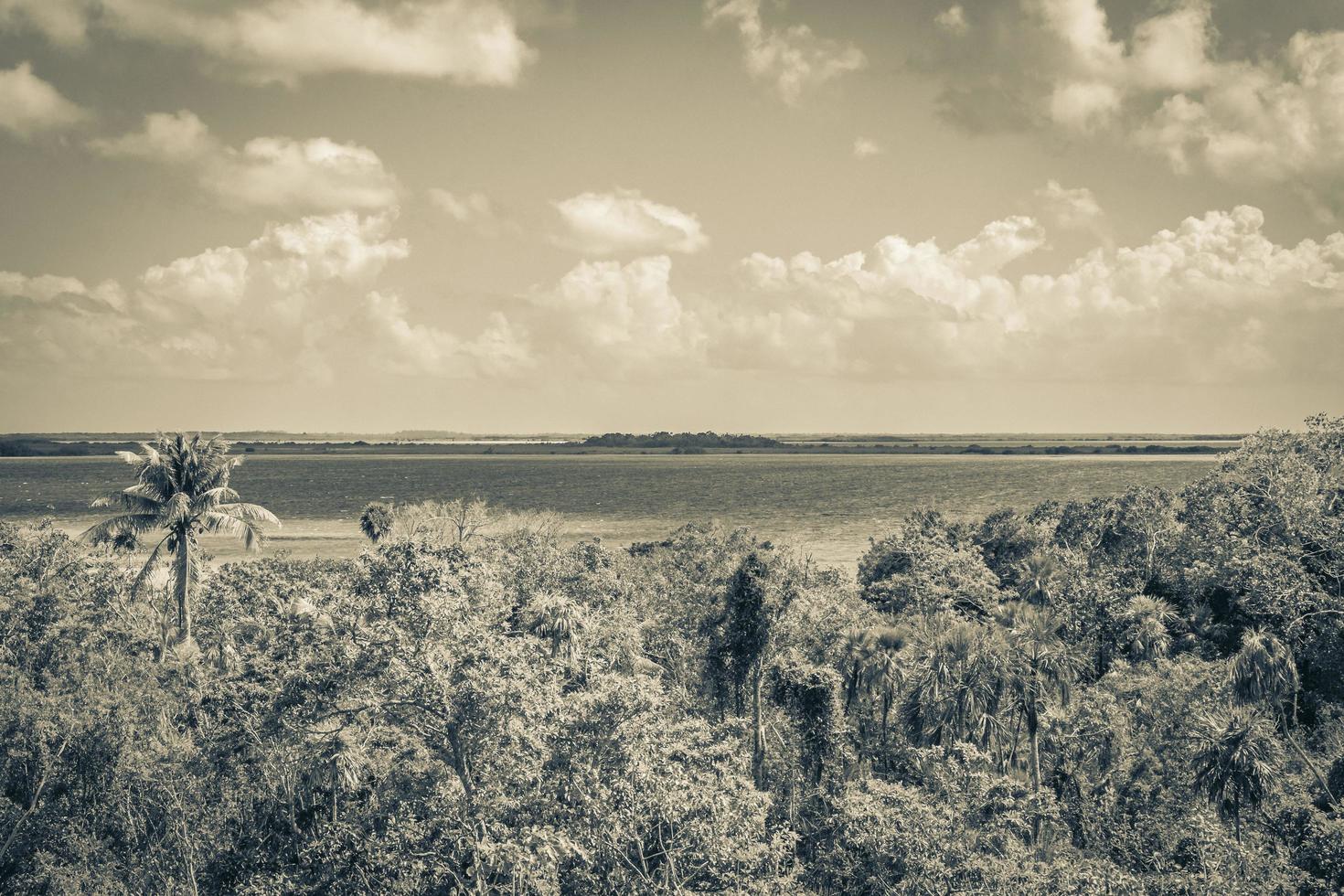 vista panoramica della laguna di muyil nella giungla tropicale del fantastico messico. foto
