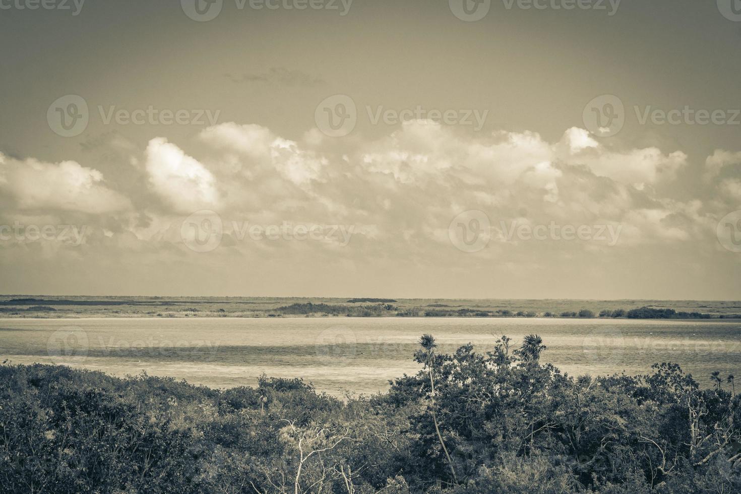 vista panoramica della laguna di muyil nella giungla tropicale del fantastico messico. foto