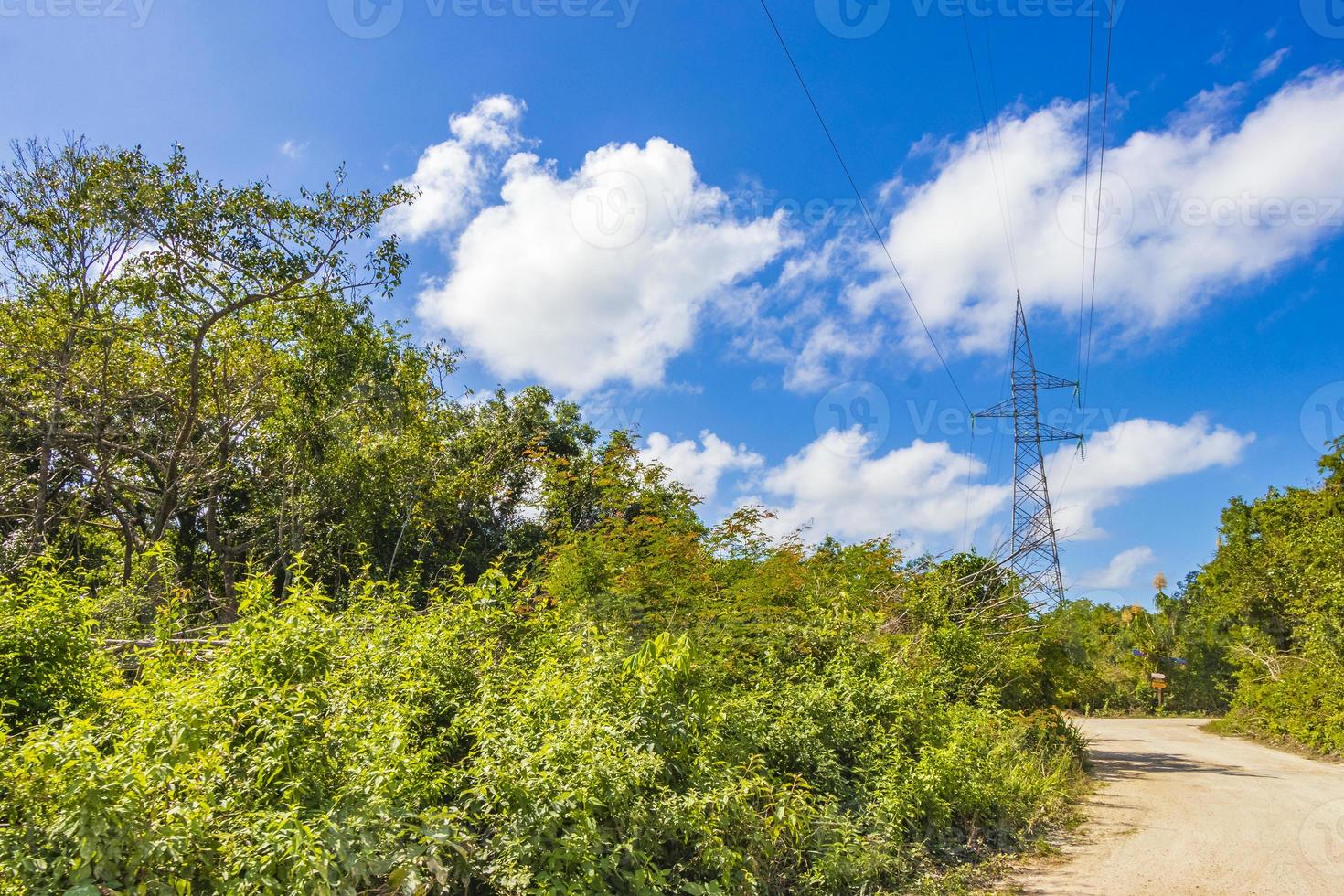 guida su strada di ghiaia nella giungla di tulum natura messico. foto