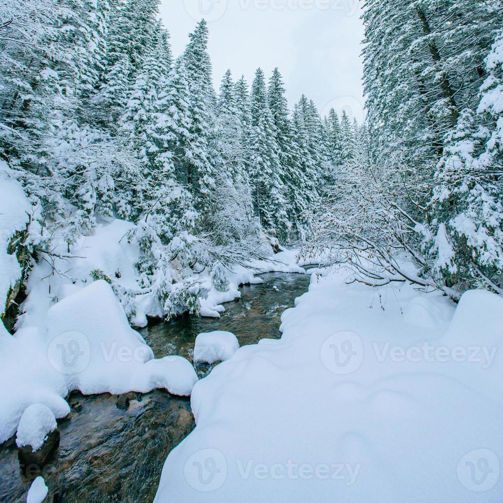 ruscello di montagna in inverno foto