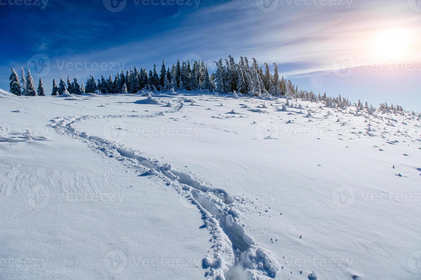impronte profonde nella neve foto