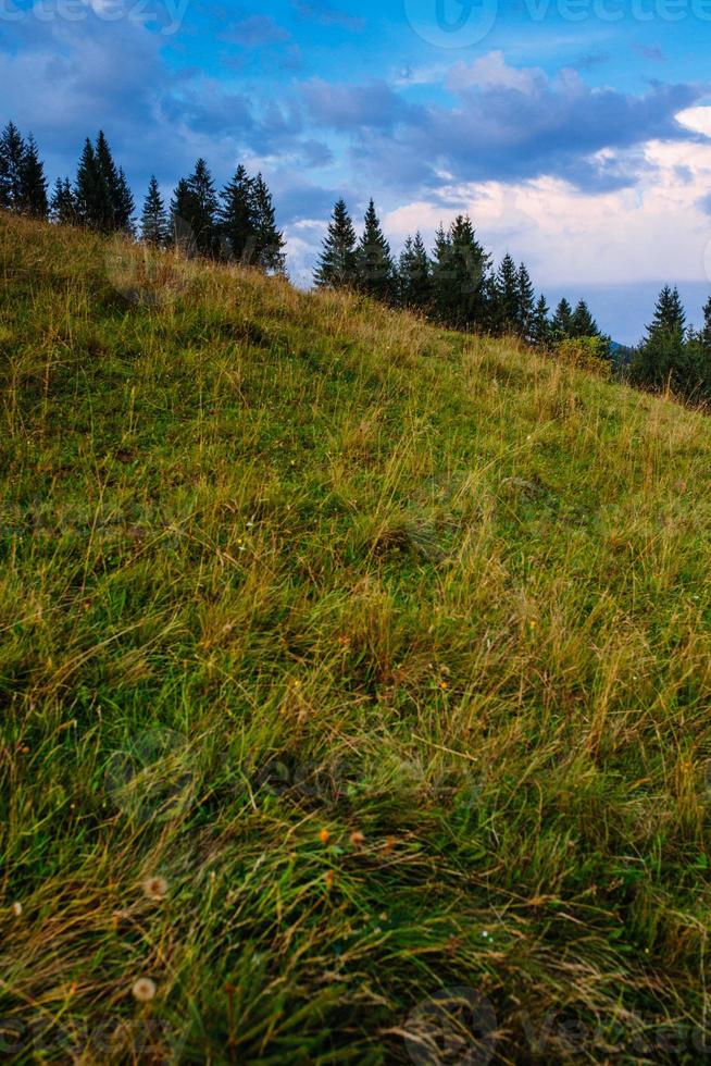 paesaggio estivo colorato foto