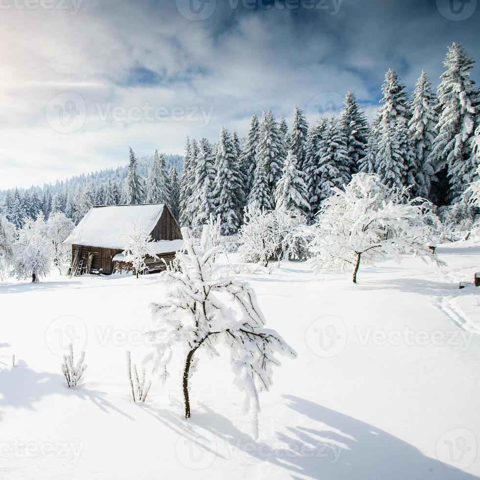 bella casa in legno foto