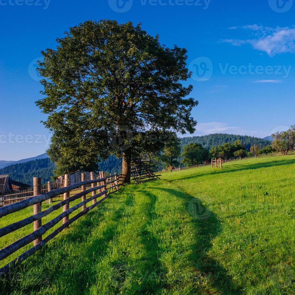 bella giornata di sole è in montagna foto