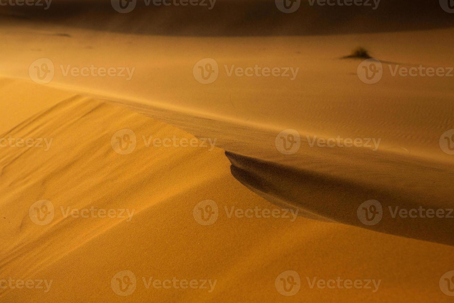 bellissime dune di sabbia nel deserto del Sahara in Marocco. paesaggio in africa nel deserto. foto