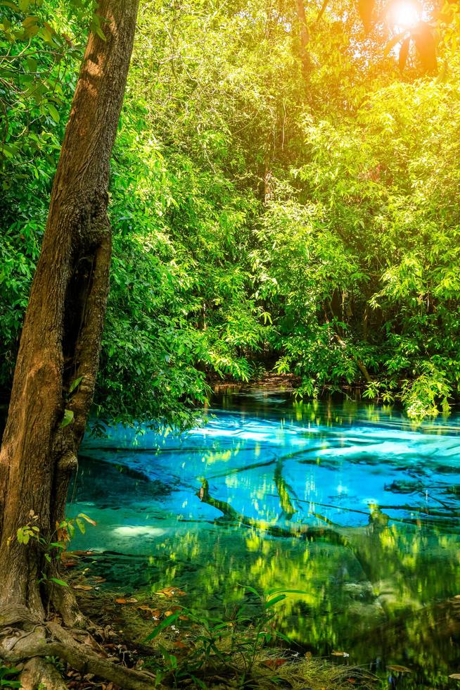 piscina blu, sorgente turchese cristallina nascosta nel mezzo della foresta, krabi, thailandia foto
