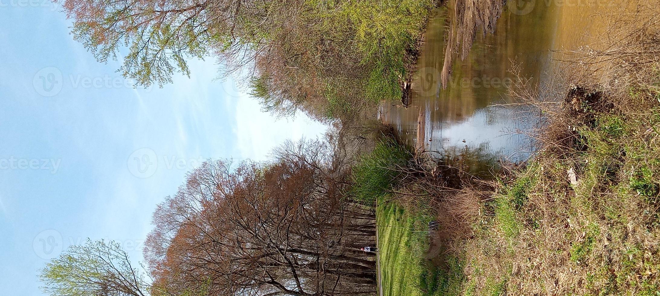 la vista di un ruscello foto