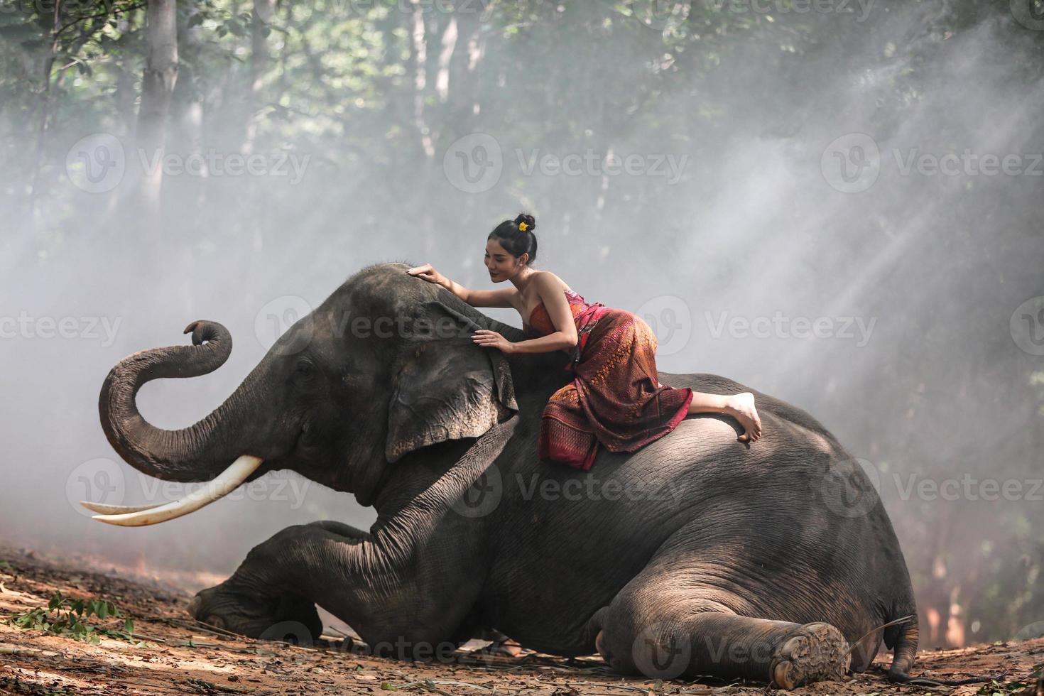 thailandia campagna silhouette elefante sullo sfondo del tramonto, elefante tailandese in surin thailand. foto