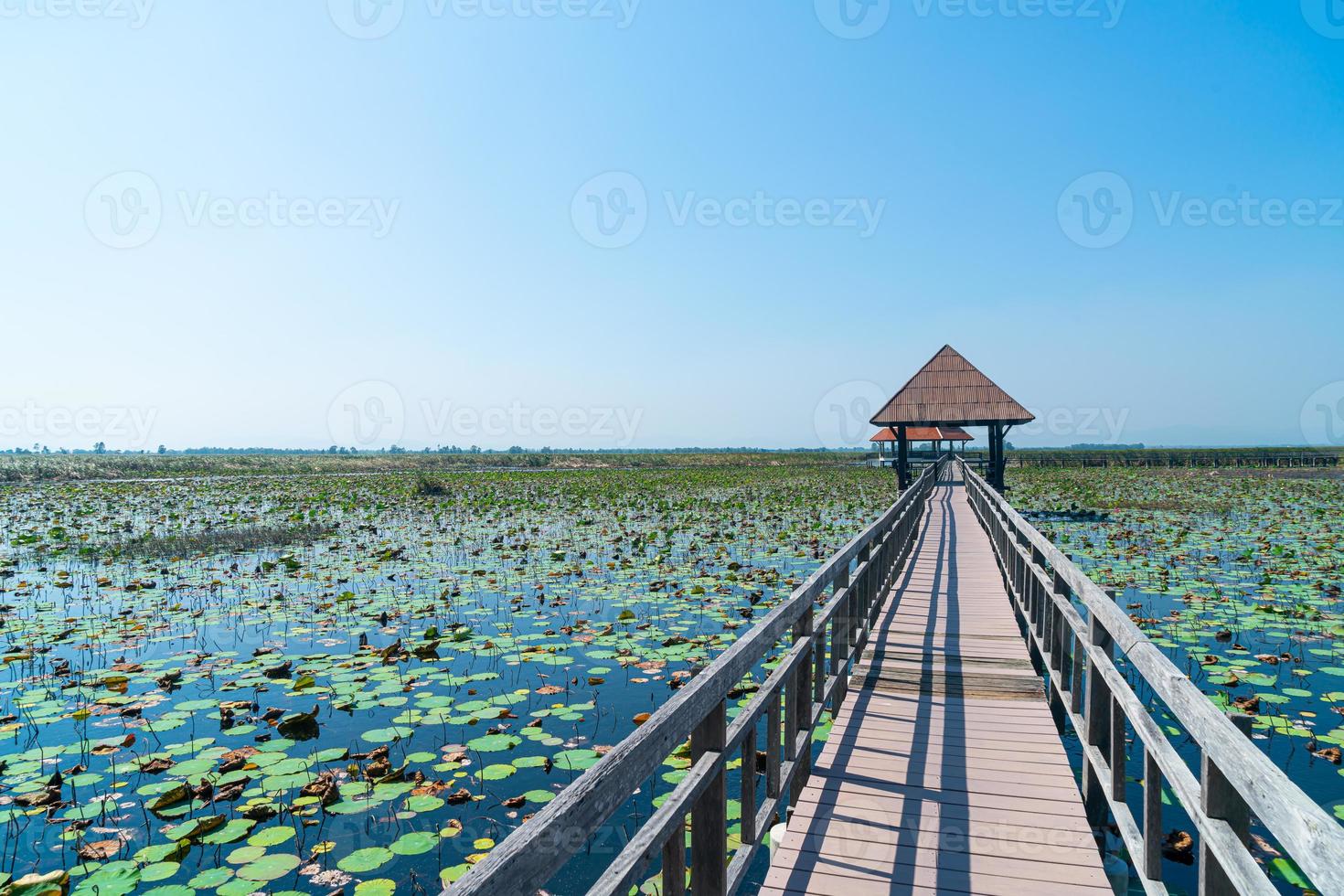 Sam Roi Yot palude di acqua dolce o bueng bua khao Sam Roi Yot National Park foto