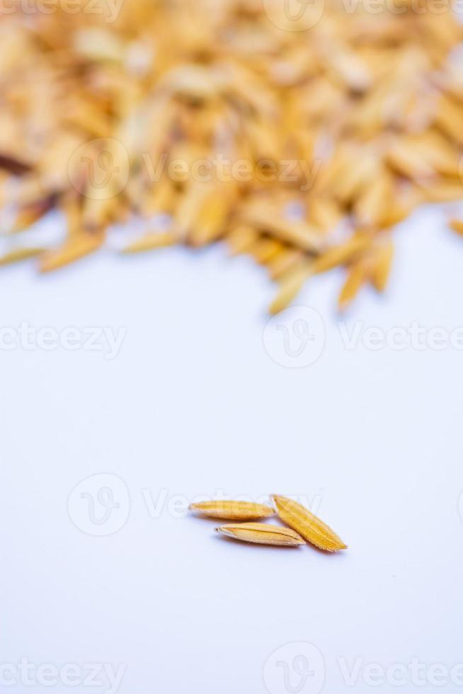 chiudere il sapore il grano bagnato sullo sfondo bianco. foto