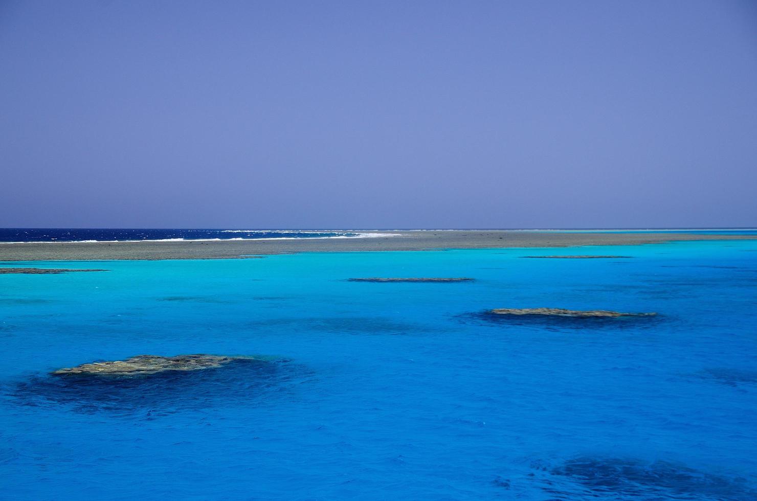 barriera corallina colorata in egitto foto