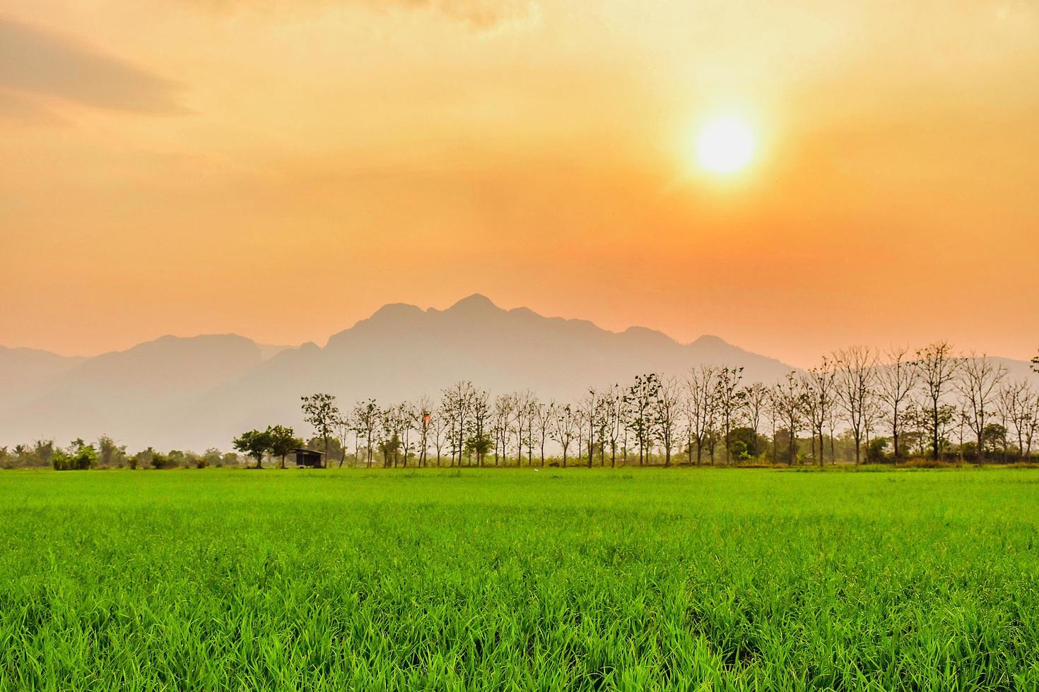 bel tramonto dietro la collina con campi di riso e vista di doi nang non, mae sai, chiang rai, thailandia. foto