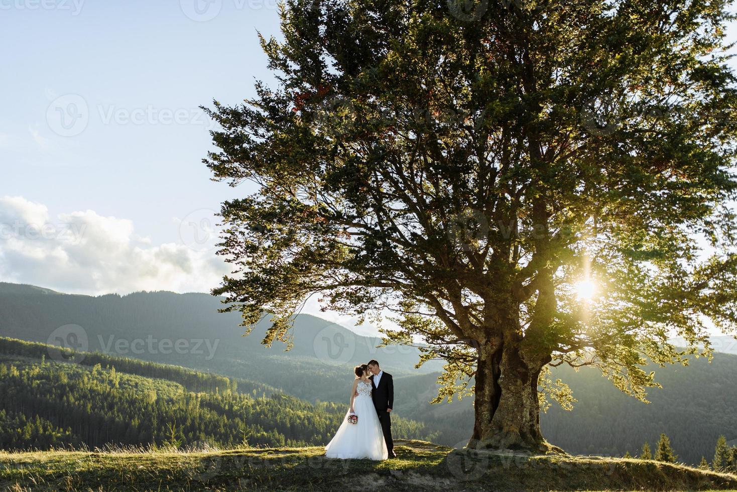 bellissimi sposi in montagna foto