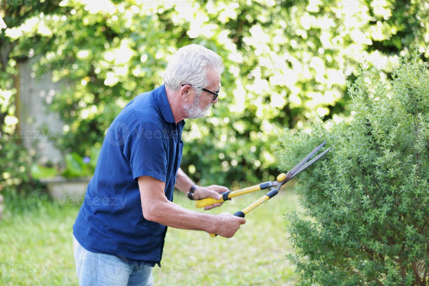 l'uomo anziano ritentato con i capelli grigi sta tagliando i cespugli in giardino. foto