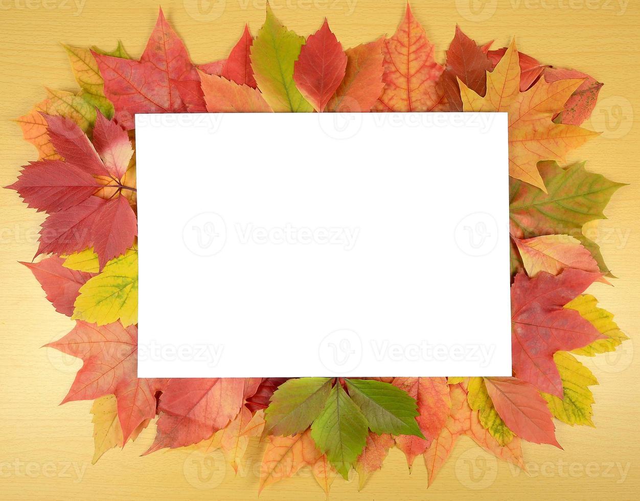 foglie autunnali e foglio di carta foto