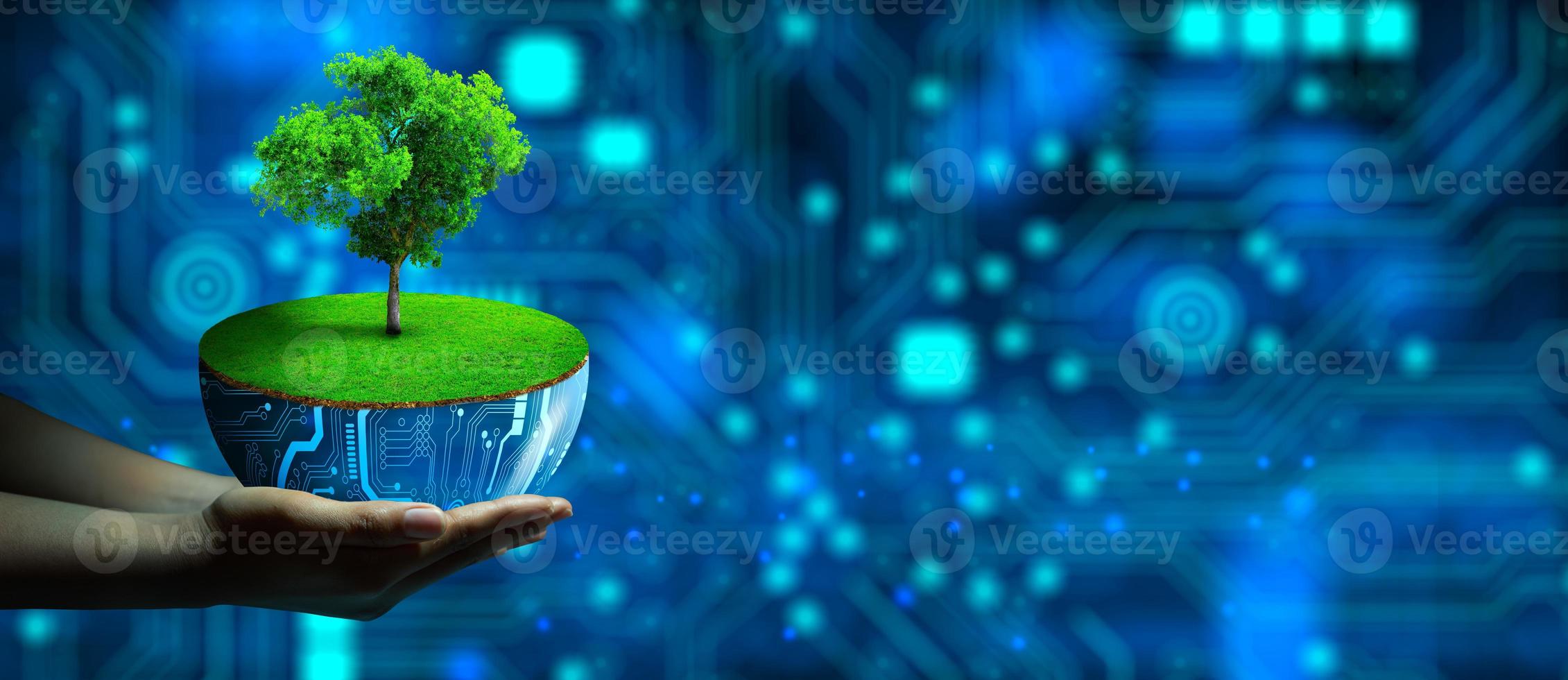 mano che tiene vaso per piante digitale con albero che cresce. convergenza tecnologica, green computing ed etica foto