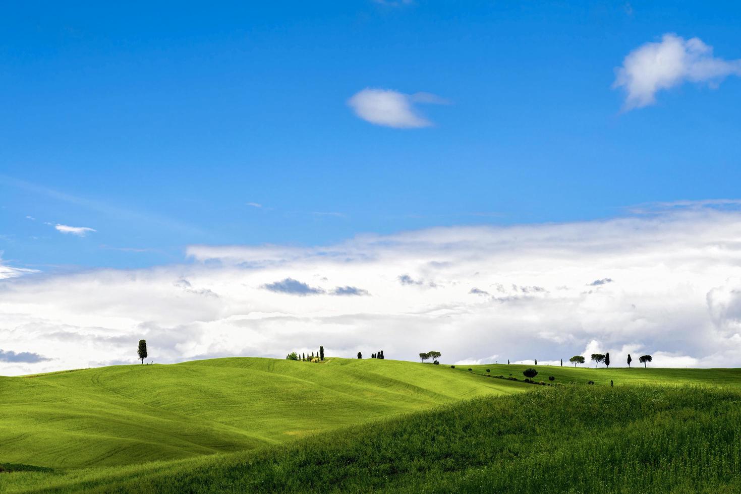 vista panoramica sulla campagna toscana foto