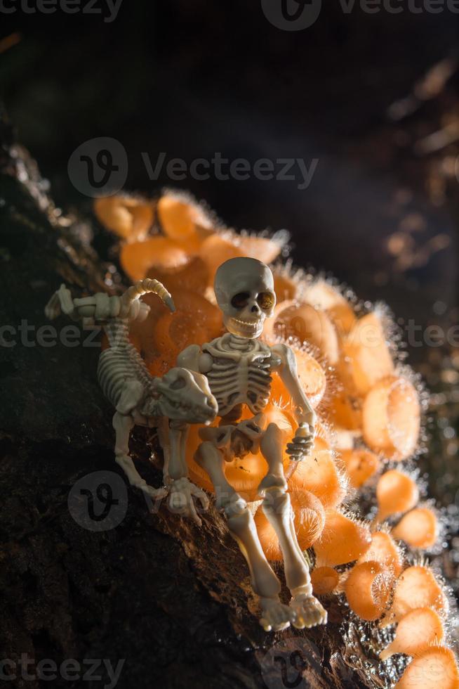 scheletro seduto con il suo cane foto