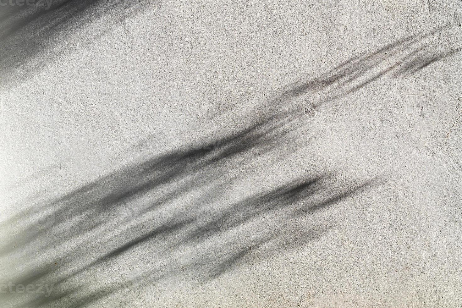 ombra di foglie rami in spettacolo di vento sullo sfondo della parete bianca foto