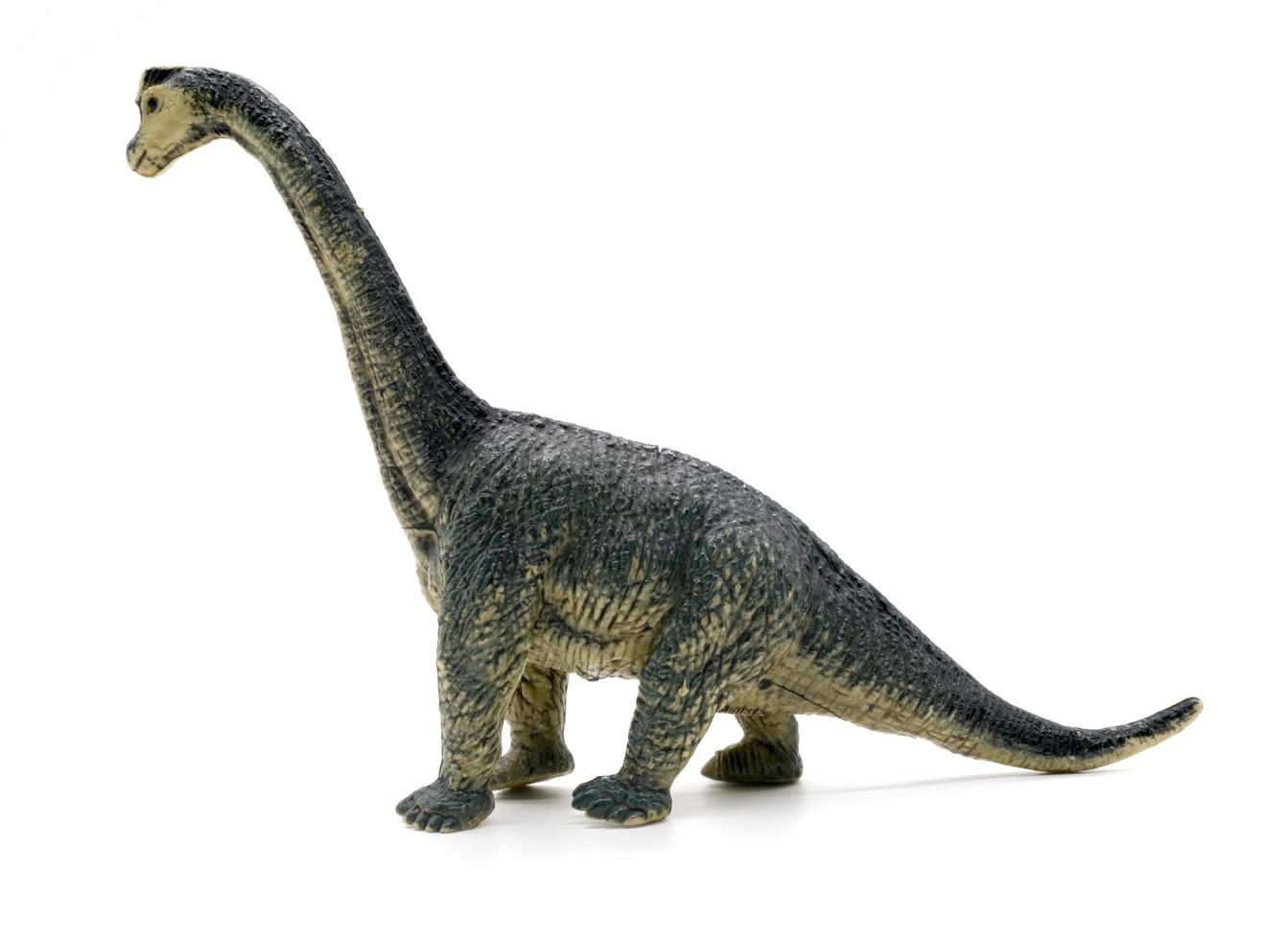 Brachiosaurus dinosauri giocattolo su sfondo bianco foto