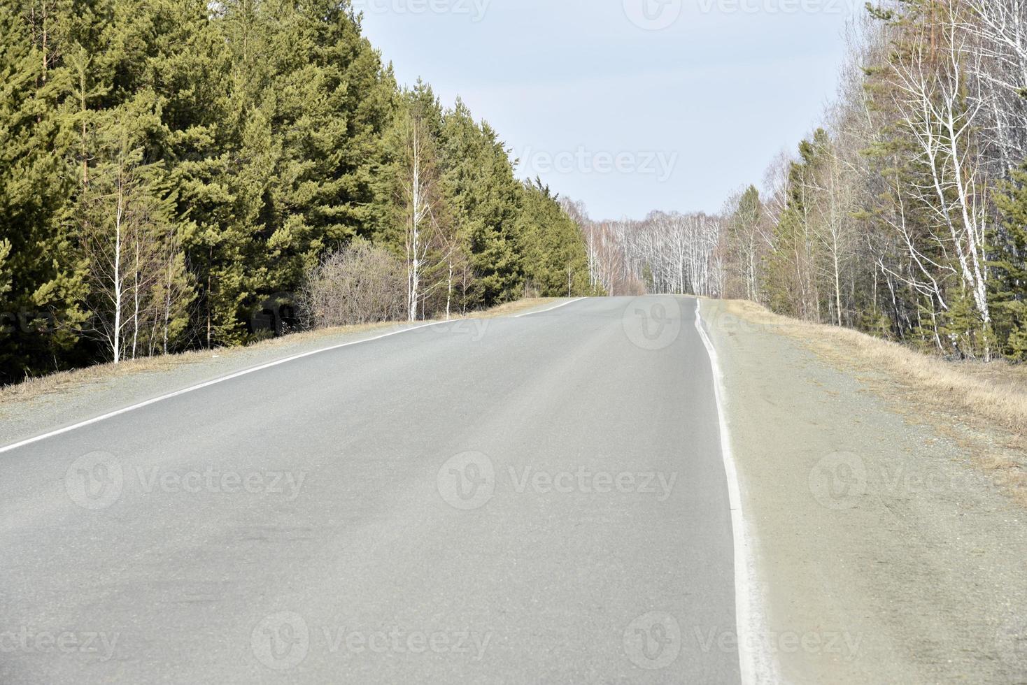 foresta primaverile e strada innevata e asfaltata foto