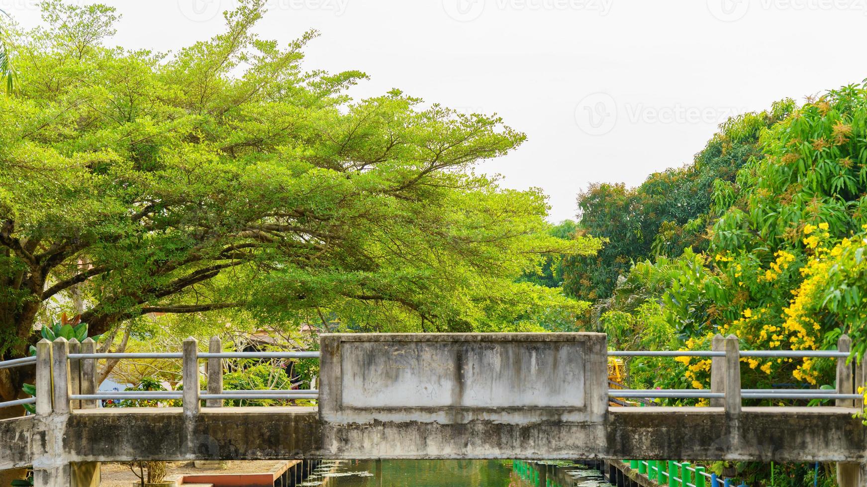 vecchio ponte di cemento che attraversa il canale su uno sfondo verde. foto