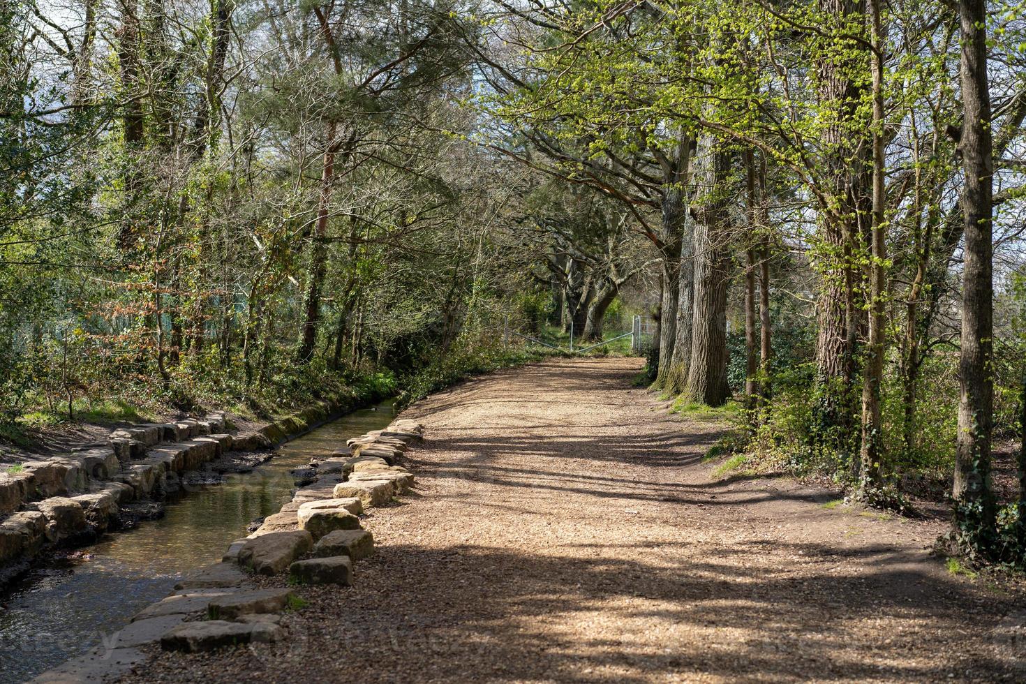 sentiero rurale vicino a un fiume foto