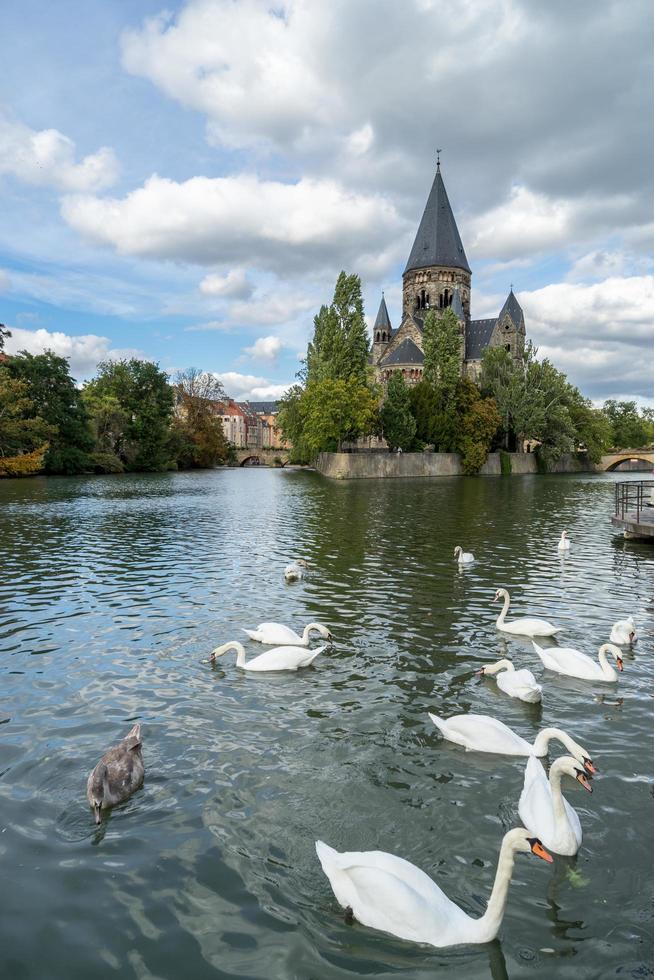 cigni sul fiume Mosella davanti al tempio neuf foto