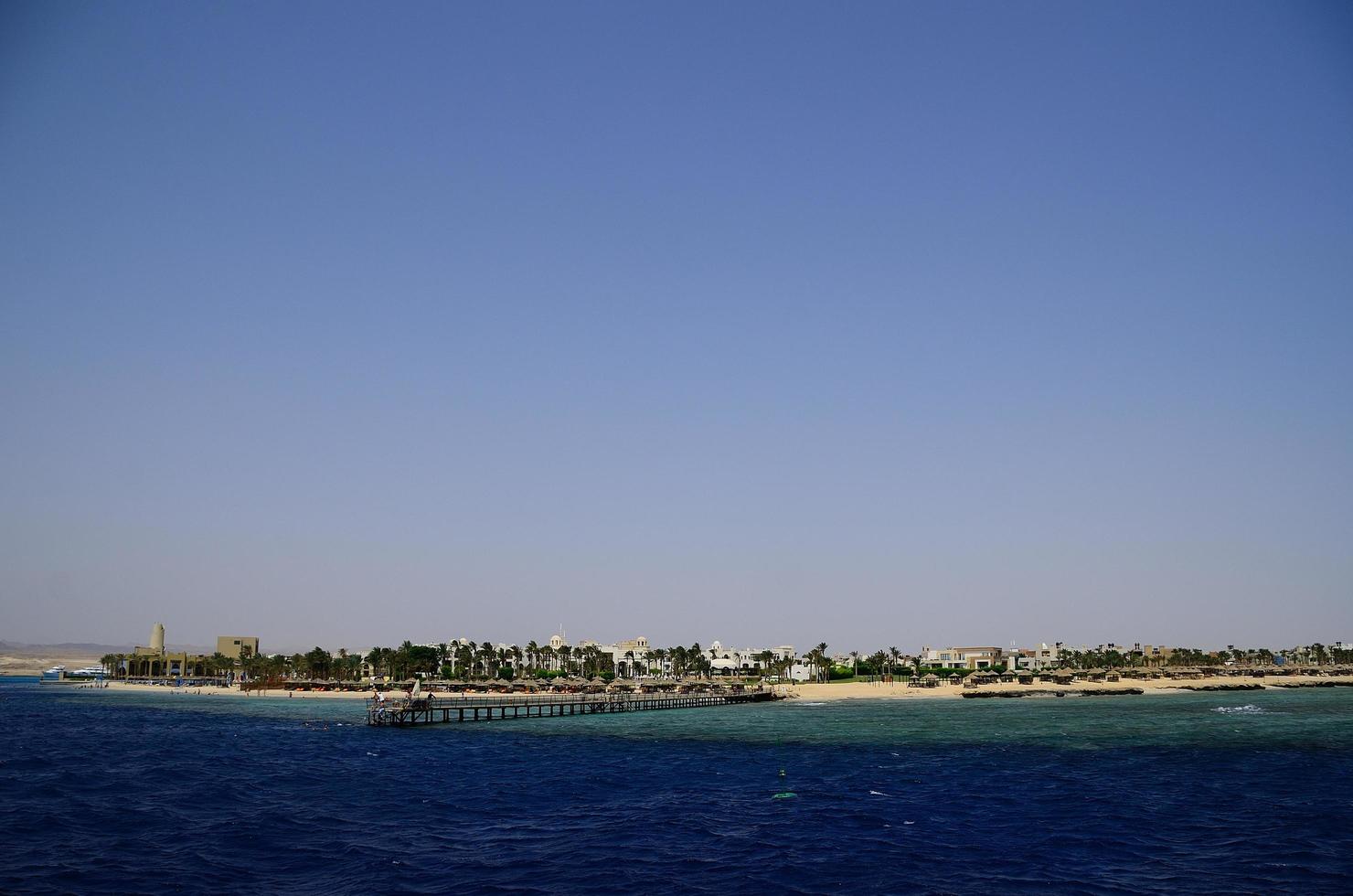 grande area dell'hotel con pontile e palme foto