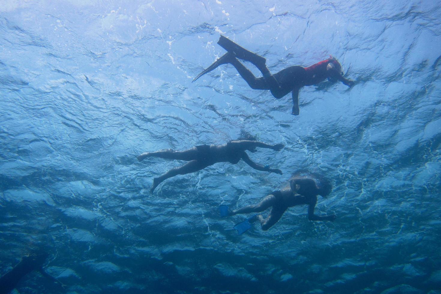 snorkeling in mare foto