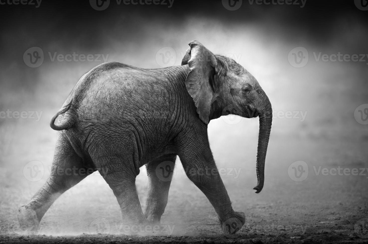 baby elephant running (elaborazione artistica) foto