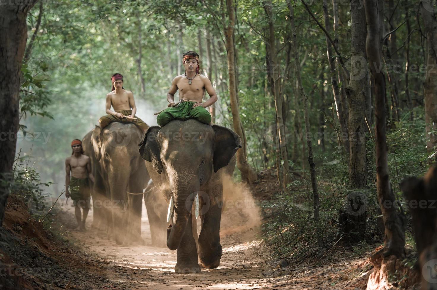 mahout pastore elefante nella foresta foto
