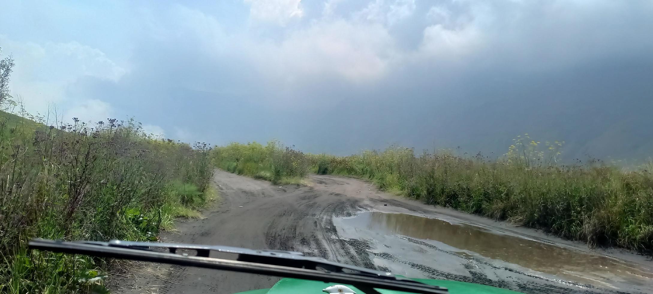 melihat keindahan padang rumput di atas mobil hartop foto