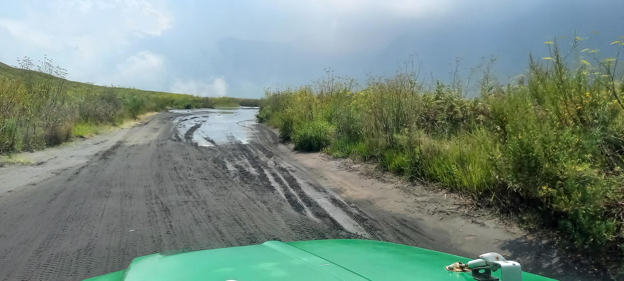 melihat keindahan padang rumput di atas mobil hartop foto