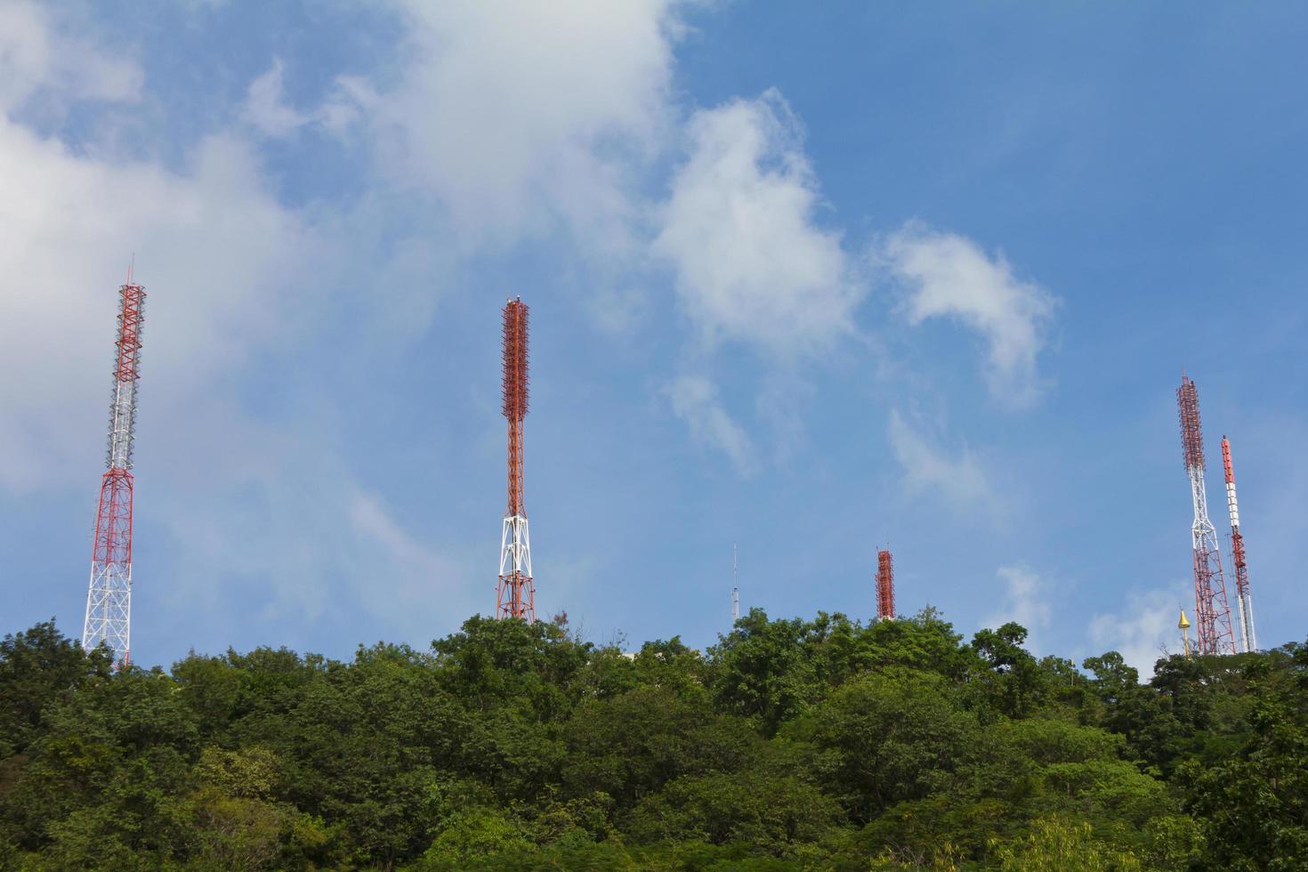 albero delle telecomunicazioni su molte foreste. foto