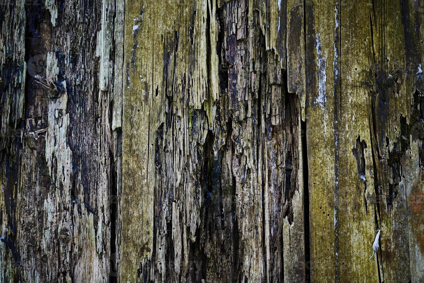 vecchia struttura di legno per sfondo web, sfondo di legno marcio, decrepito, marcio foto