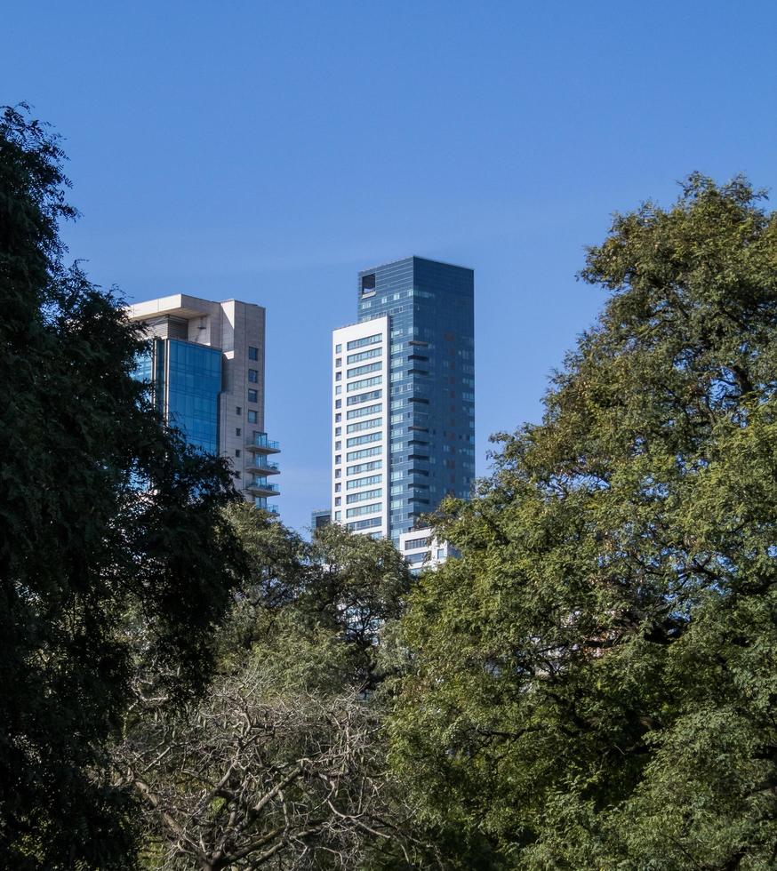 Buenos Aires, Argentina. 2019. nuovi edifici dietro gli alberi foto