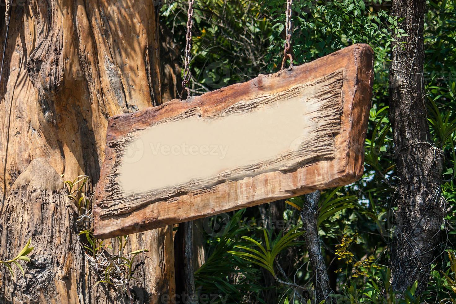 tavola di legno appesa in giardino foto