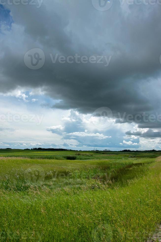 terreno agricolo a nord di churchbridge, saskatchewan orientale, canada. foto