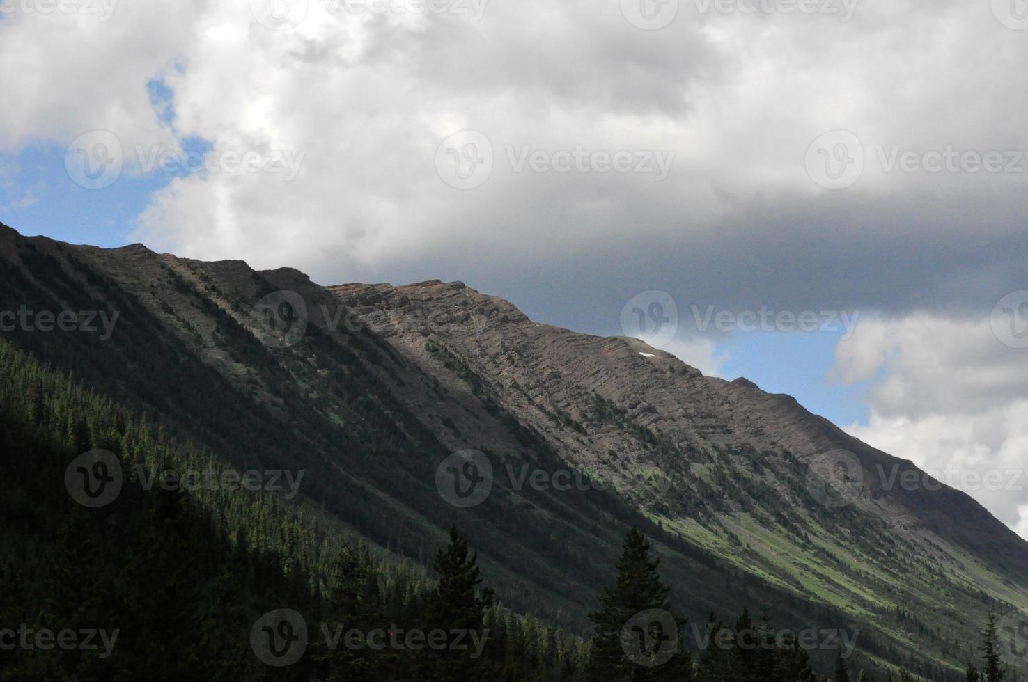 limite del bosco su una montagna foto