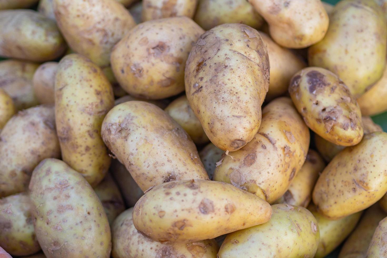 mucchio di patate in vendita sul mercato foto