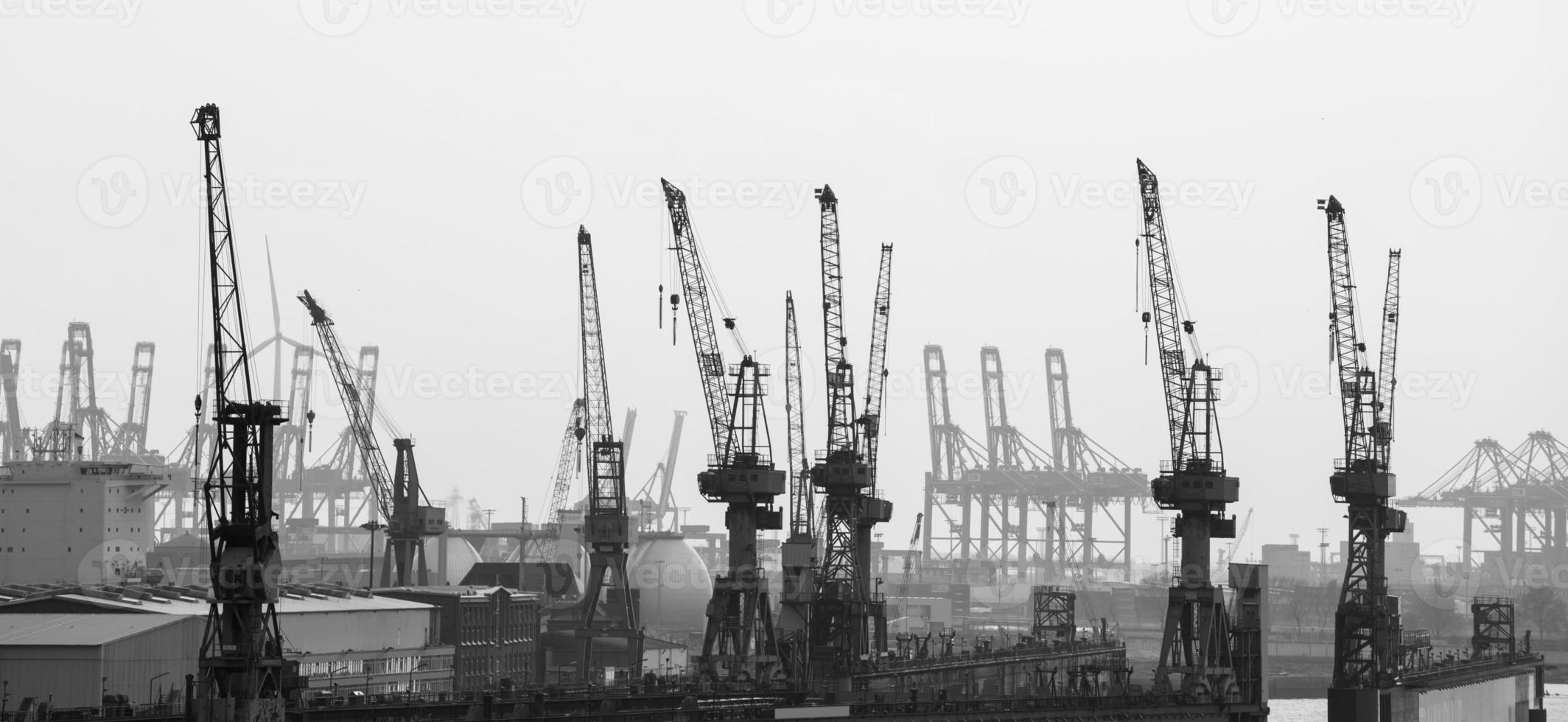 gru del porto di Amburgo in bianco e nero foto