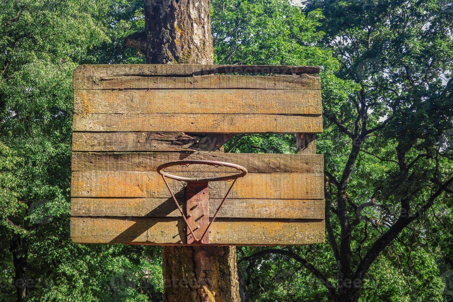 vecchio anello da basket in metallo arrugginito senza cesto appeso su tavola di legno rotta su albero verde lascia sfondo all'aperto foto